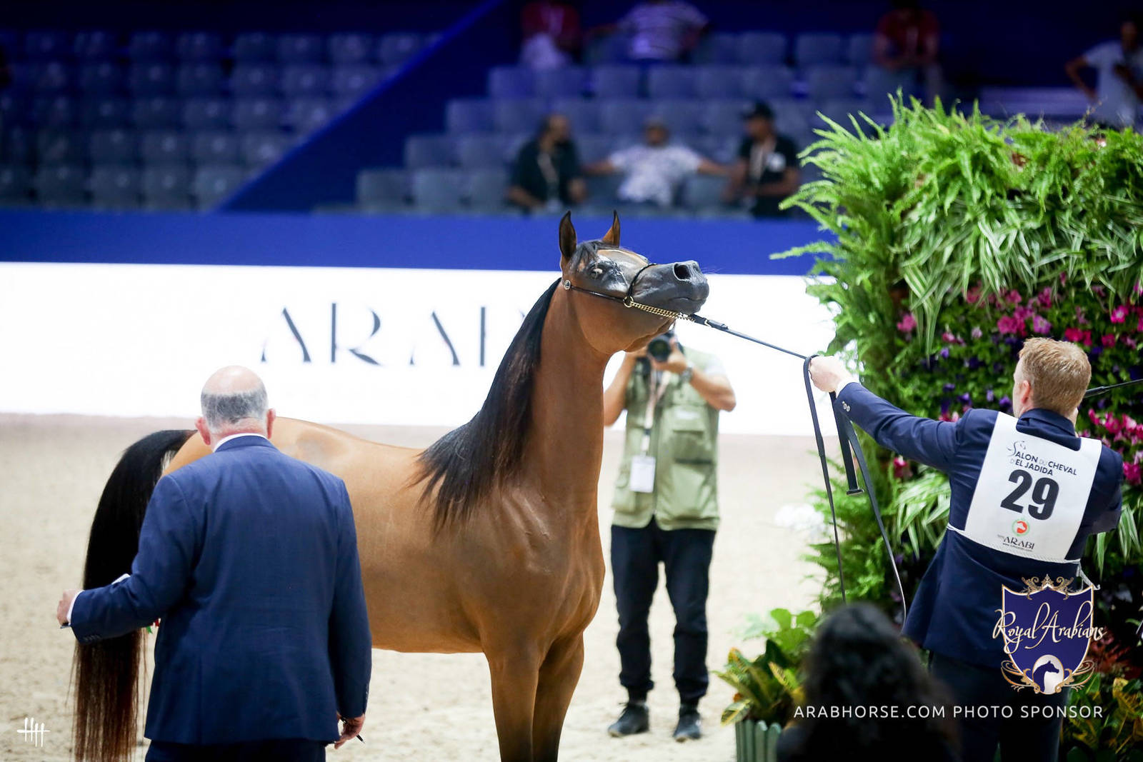 2022 Salon du Cheval d'El Jadida Horse Show in Morocco