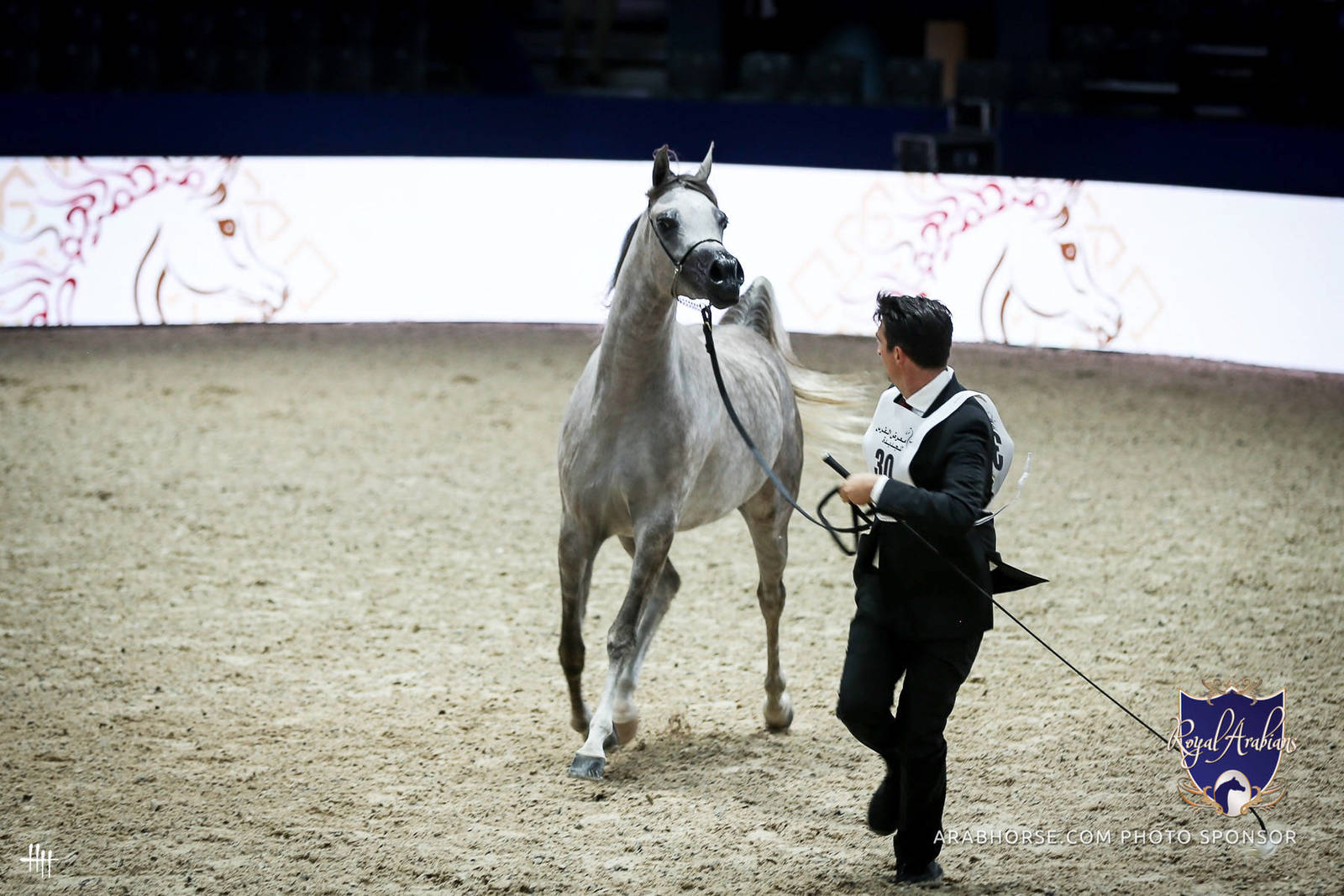 2022 Salon du Cheval d'El Jadida Horse Show in Morocco