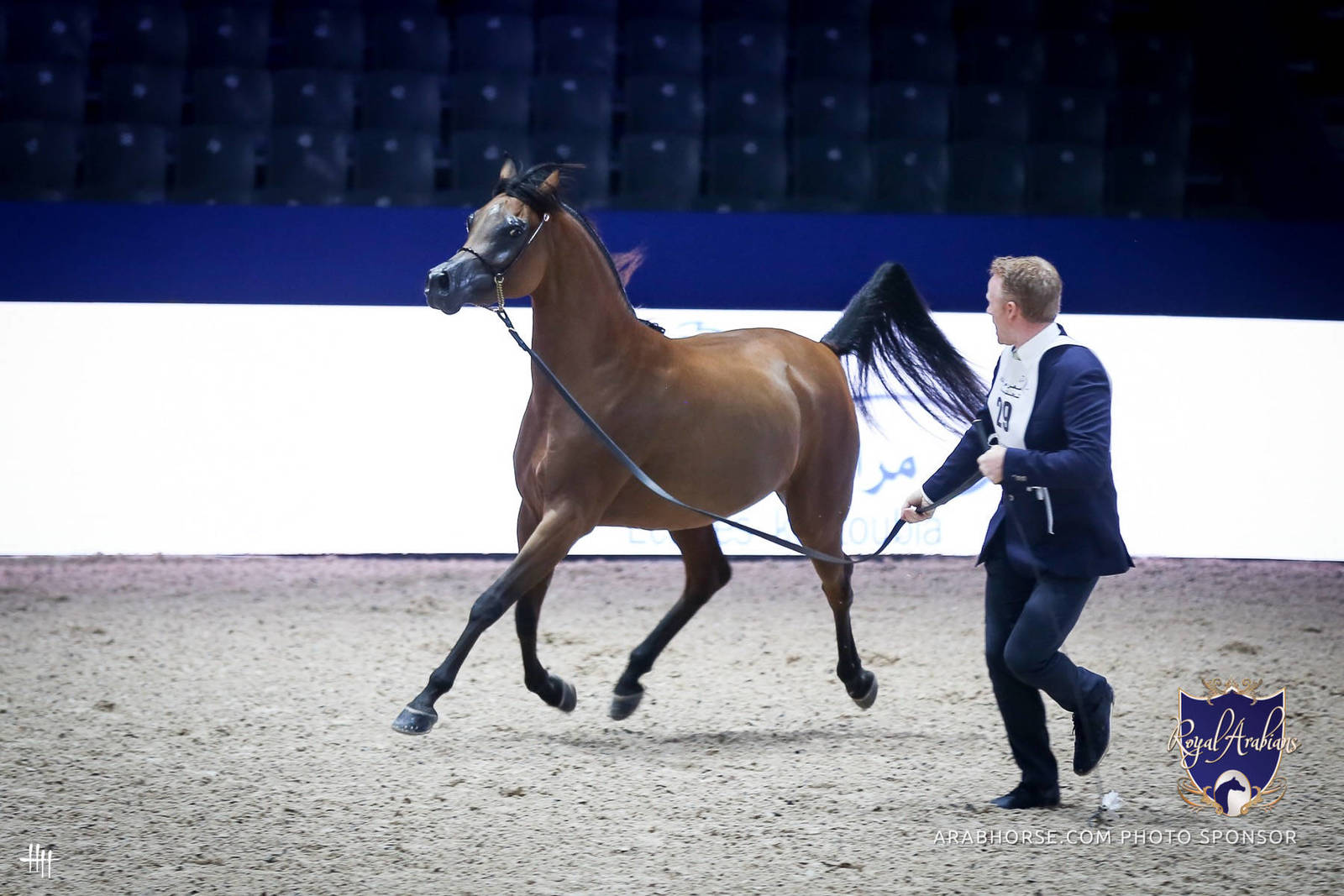 2022 Salon du Cheval d'El Jadida Horse Show in Morocco