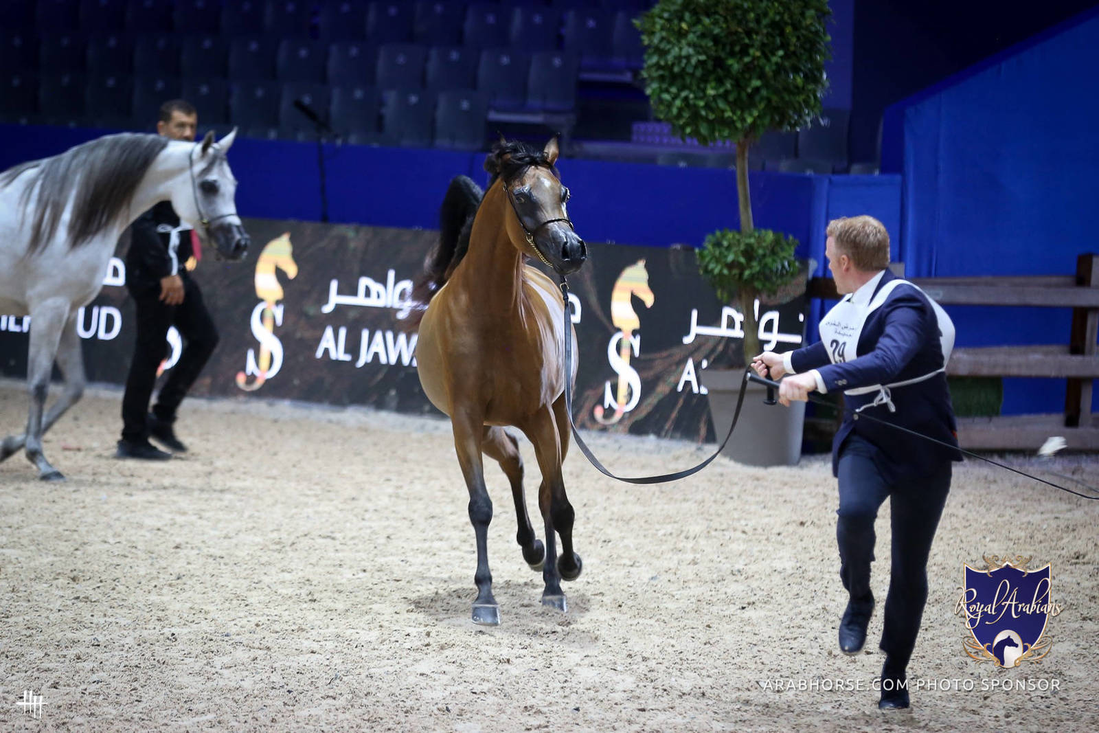 2022 Salon du Cheval d'El Jadida Horse Show in Morocco