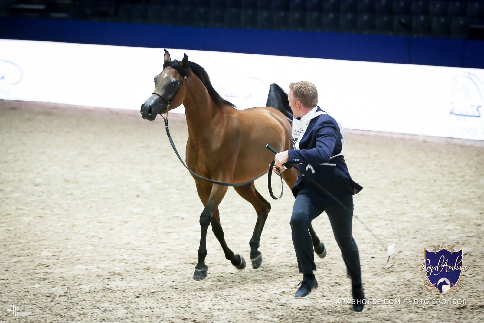 2022 Salon du Cheval d'El Jadida Horse Show in Morocco