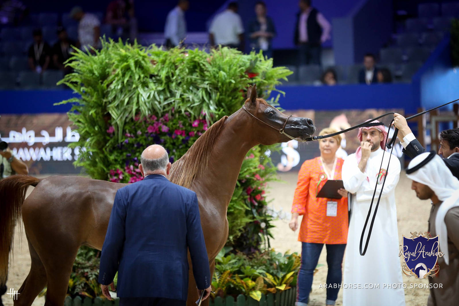 2022 Salon du Cheval d'El Jadida Horse Show in Morocco