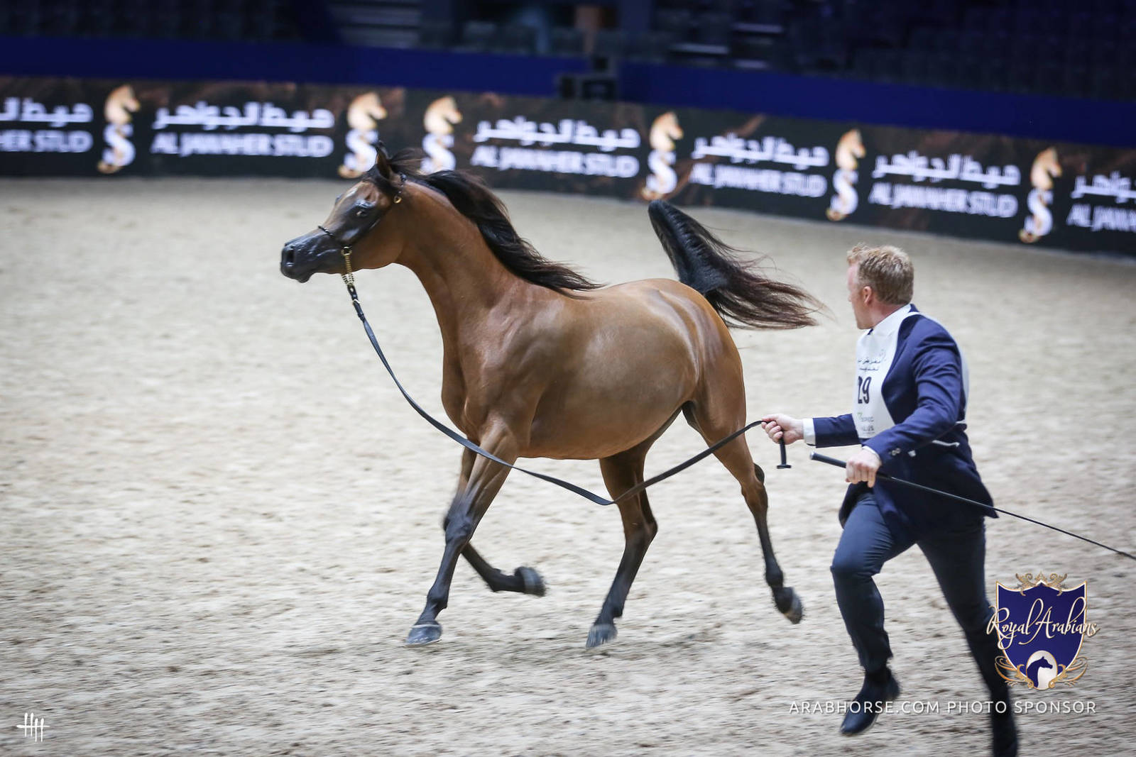 2022 Salon du Cheval d'El Jadida Horse Show in Morocco