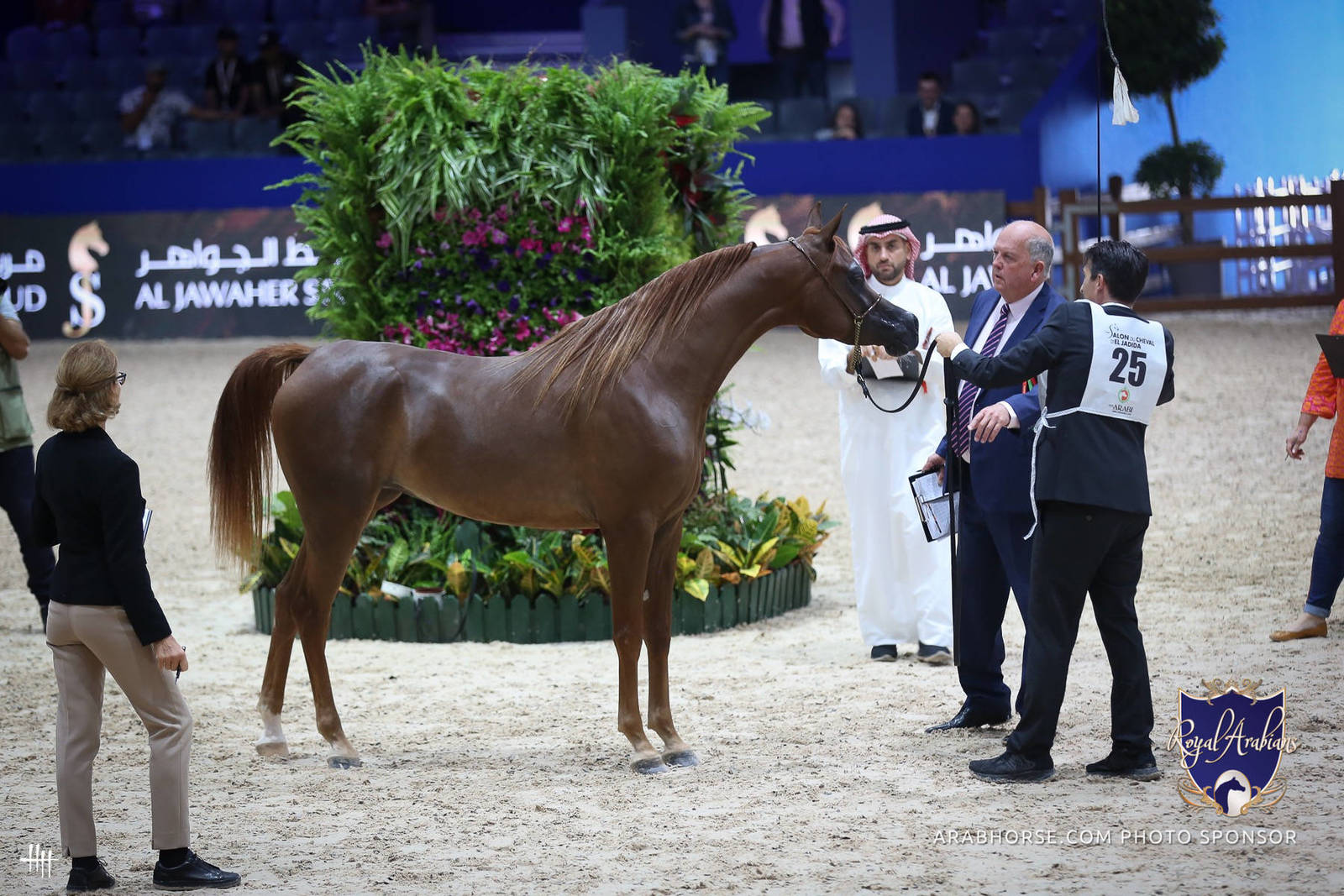 2022 Salon du Cheval d'El Jadida Horse Show in Morocco