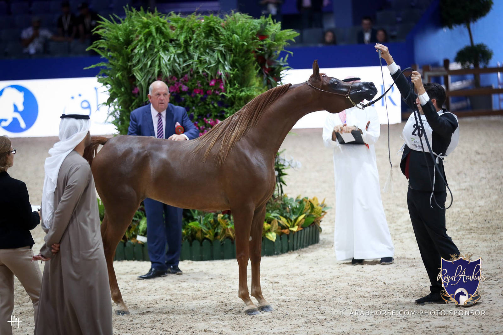 2022 Salon du Cheval d'El Jadida Horse Show in Morocco