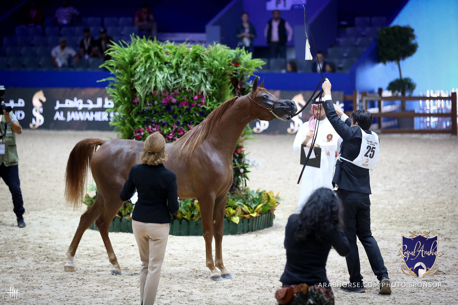 2022 Salon du Cheval d'El Jadida Horse Show in Morocco