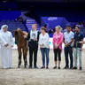 2022 Salon du Cheval d'El Jadida Horse Show in Morocco