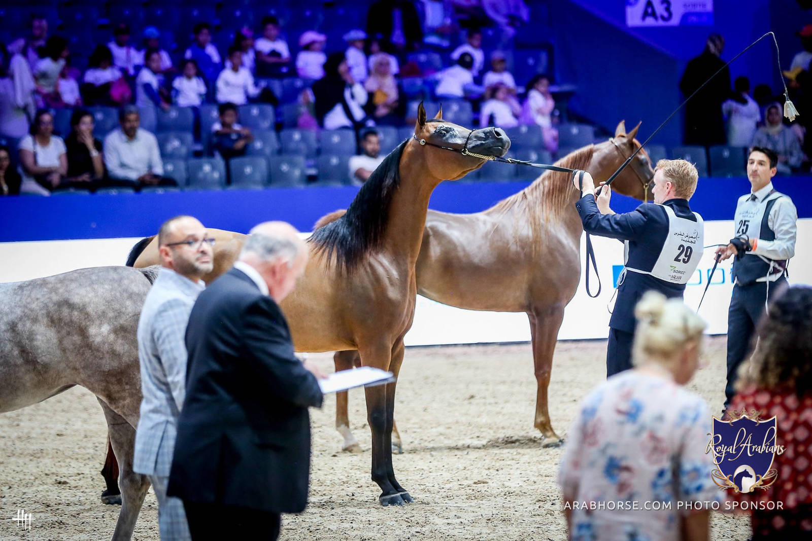2022 Salon du Cheval d'El Jadida Horse Show in Morocco