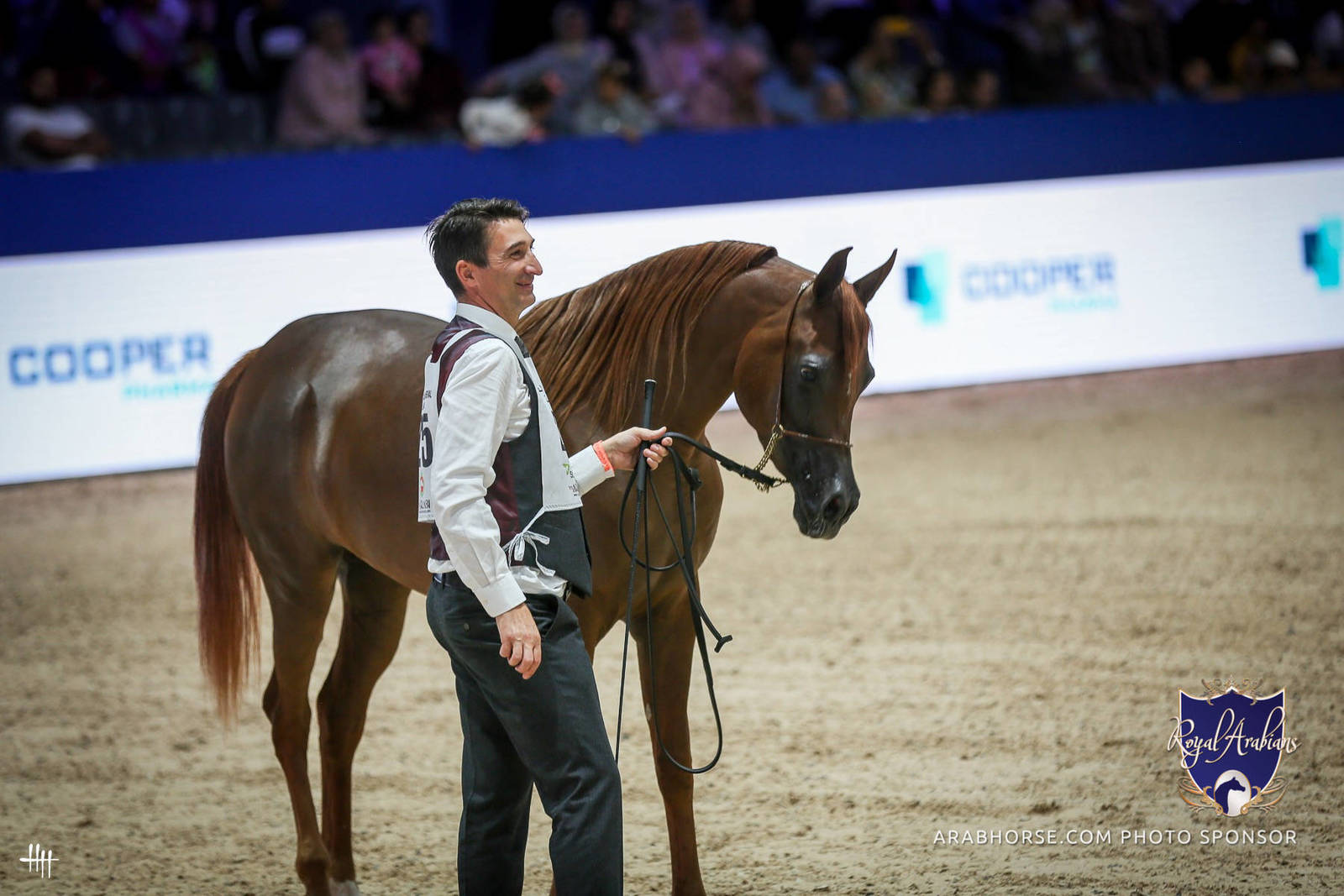 2022 Salon du Cheval d'El Jadida Horse Show in Morocco