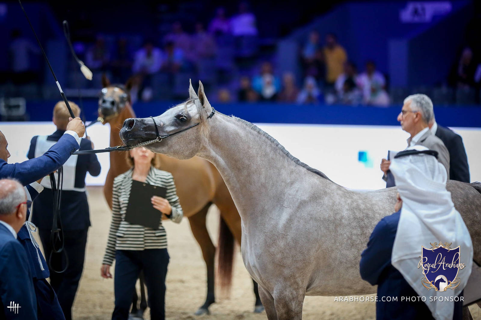 2022 Salon du Cheval d'El Jadida Horse Show in Morocco