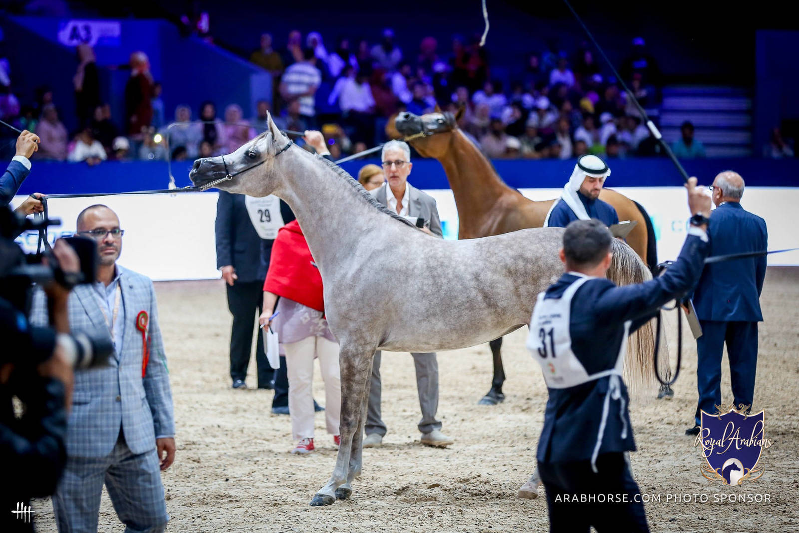 2022 Salon du Cheval d'El Jadida Horse Show in Morocco
