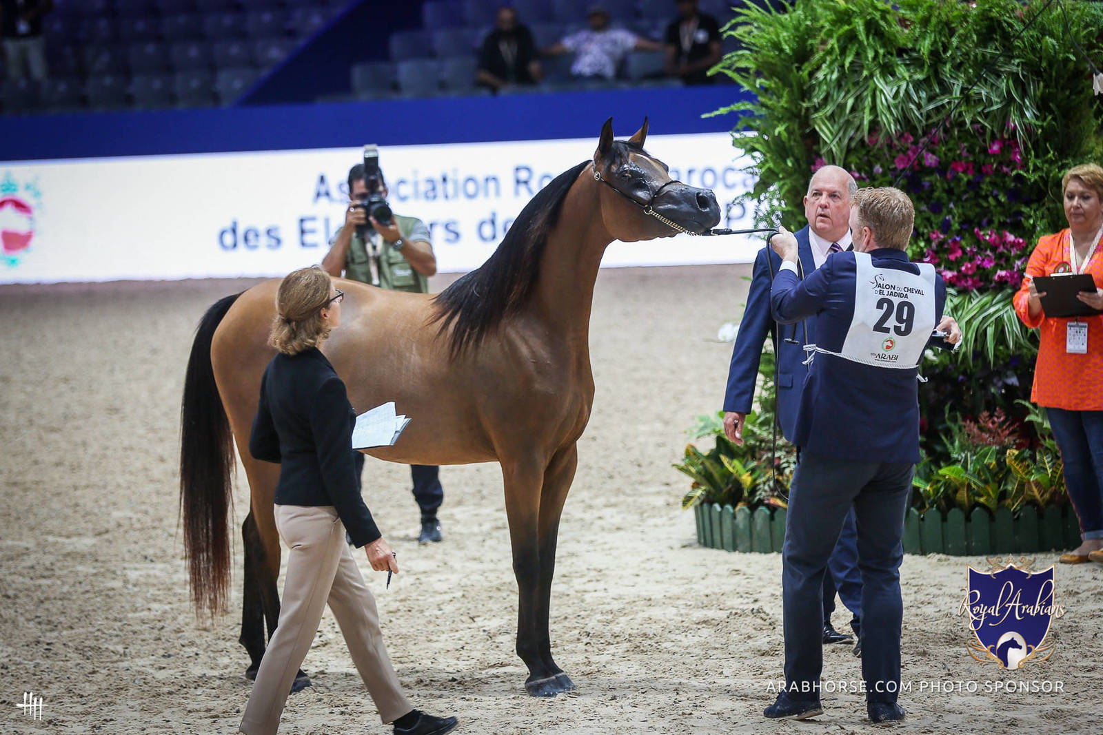 2022 Salon du Cheval d'El Jadida Horse Show in Morocco