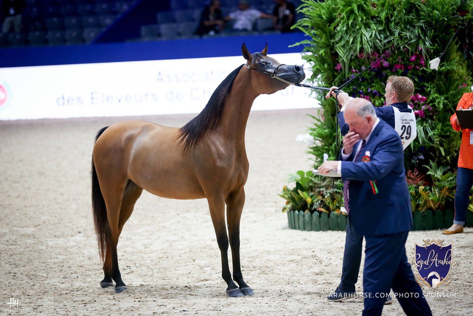 2022 Salon du Cheval d'El Jadida Horse Show in Morocco