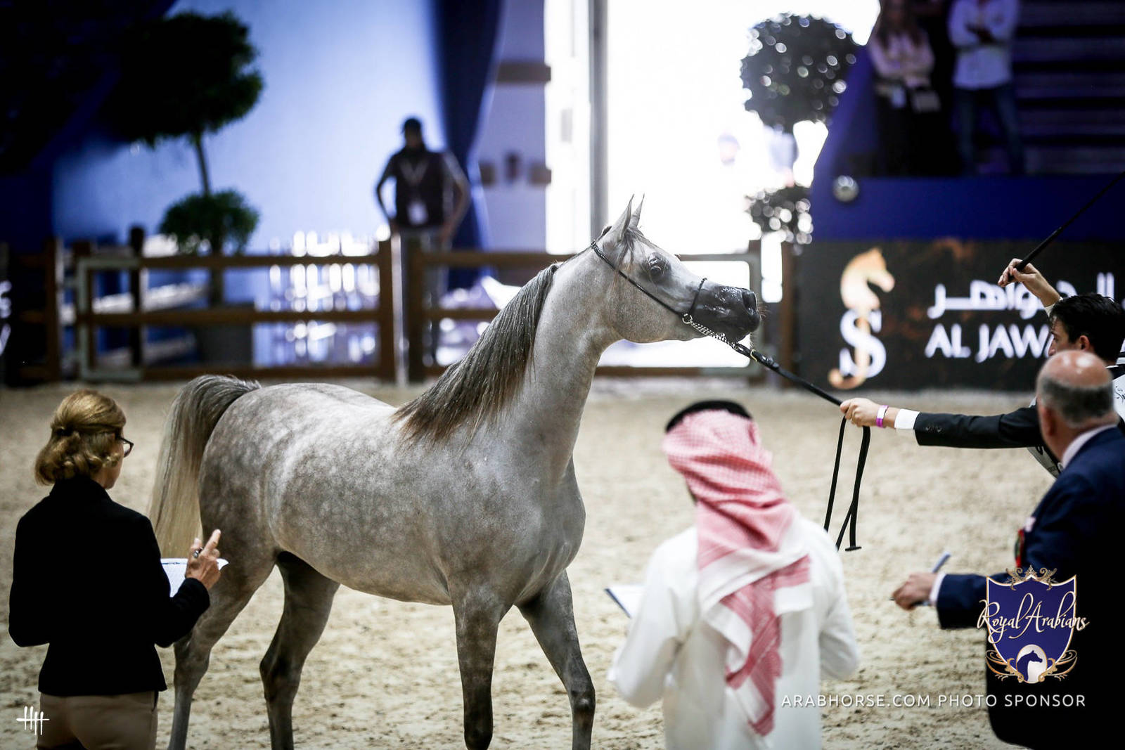2022 Salon du Cheval d'El Jadida Horse Show in Morocco