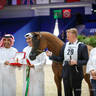 2022 Salon du Cheval d'El Jadida Horse Show in Morocco