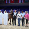 2022 Salon du Cheval d'El Jadida Horse Show in Morocco