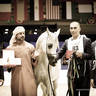 2022 Salon du Cheval d'El Jadida Horse Show in Morocco