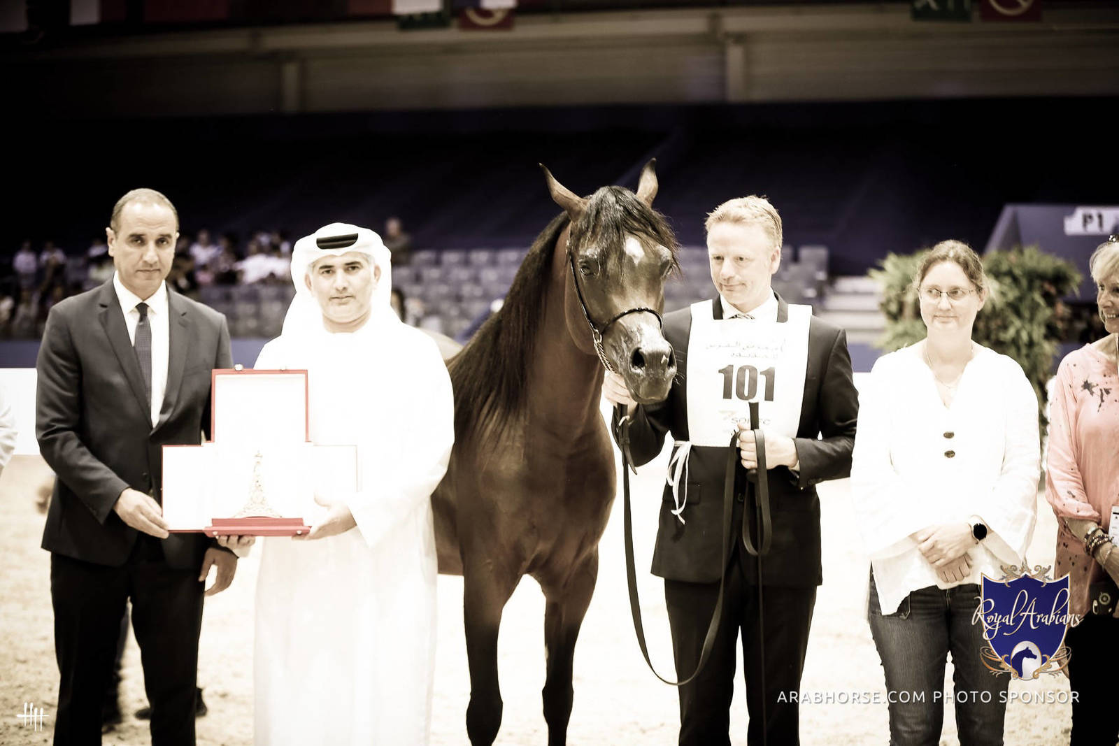 2022 Salon du Cheval d'El Jadida Horse Show in Morocco