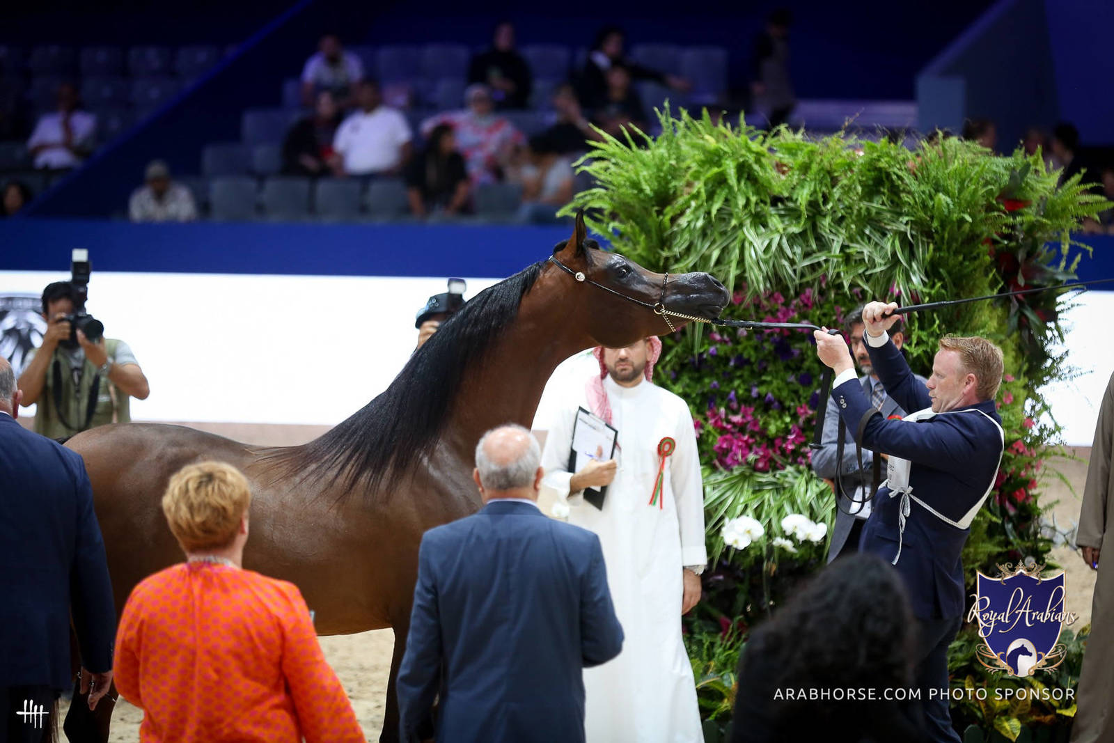 2022 Salon du Cheval d'El Jadida Horse Show in Morocco