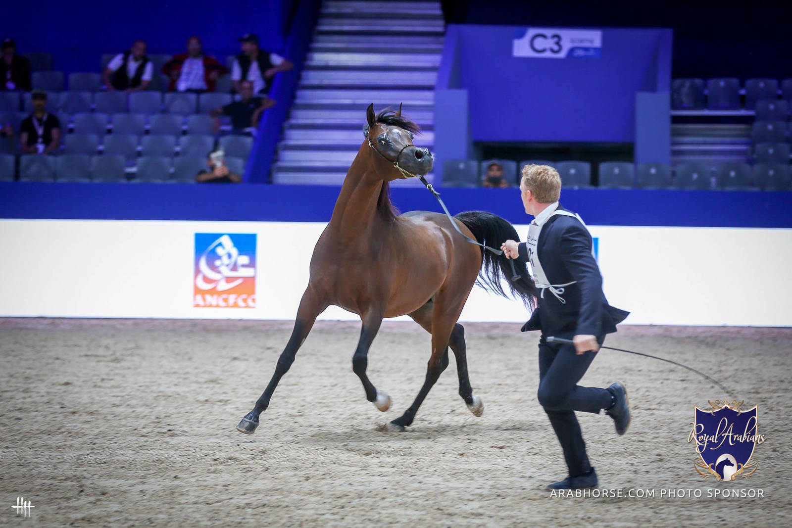 2022 Salon du Cheval d'El Jadida Horse Show in Morocco