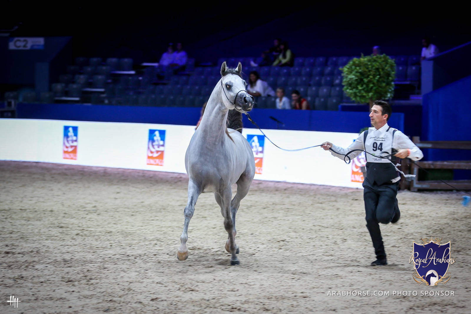 2022 Salon du Cheval d'El Jadida Horse Show in Morocco