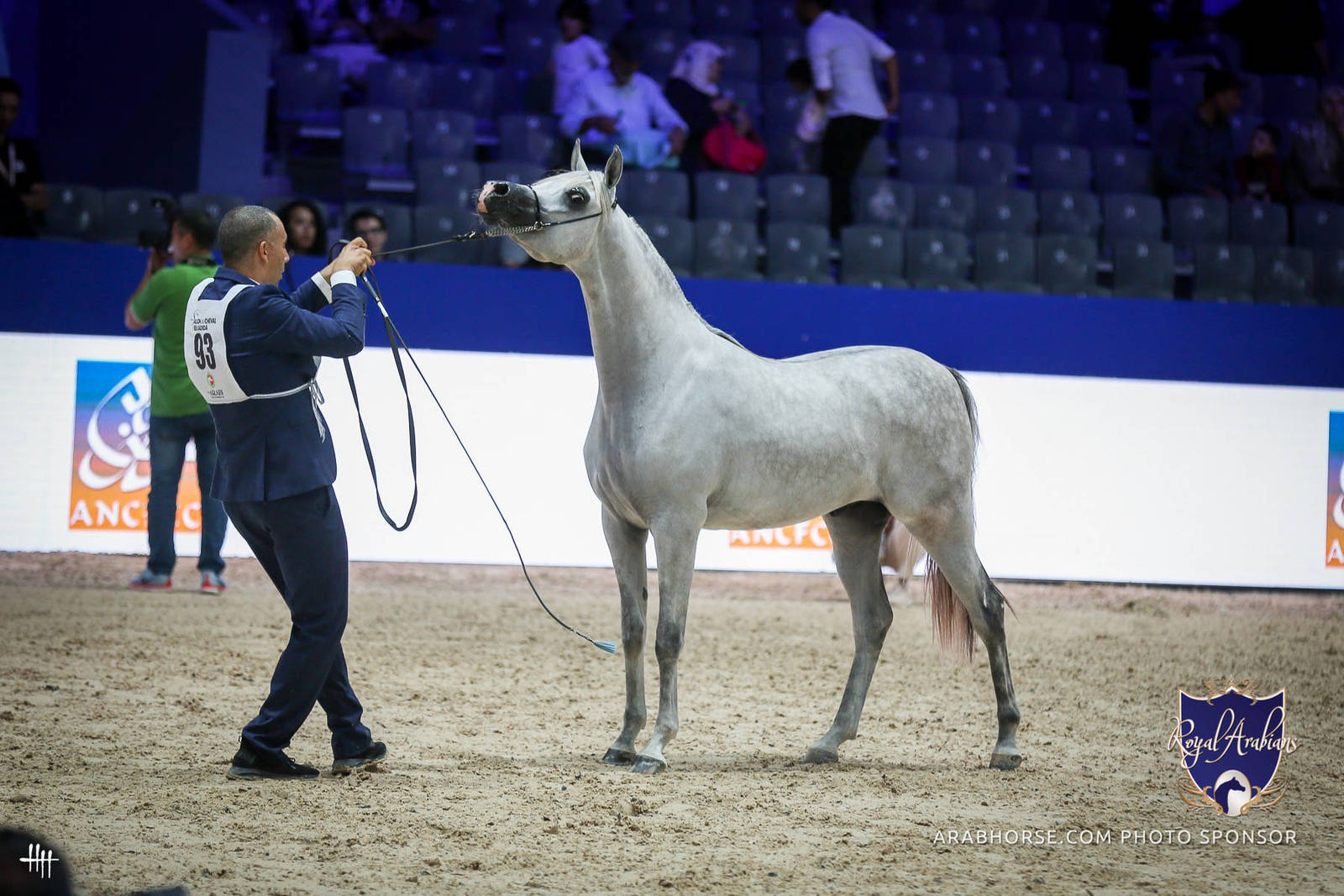2022 Salon du Cheval d'El Jadida Horse Show in Morocco