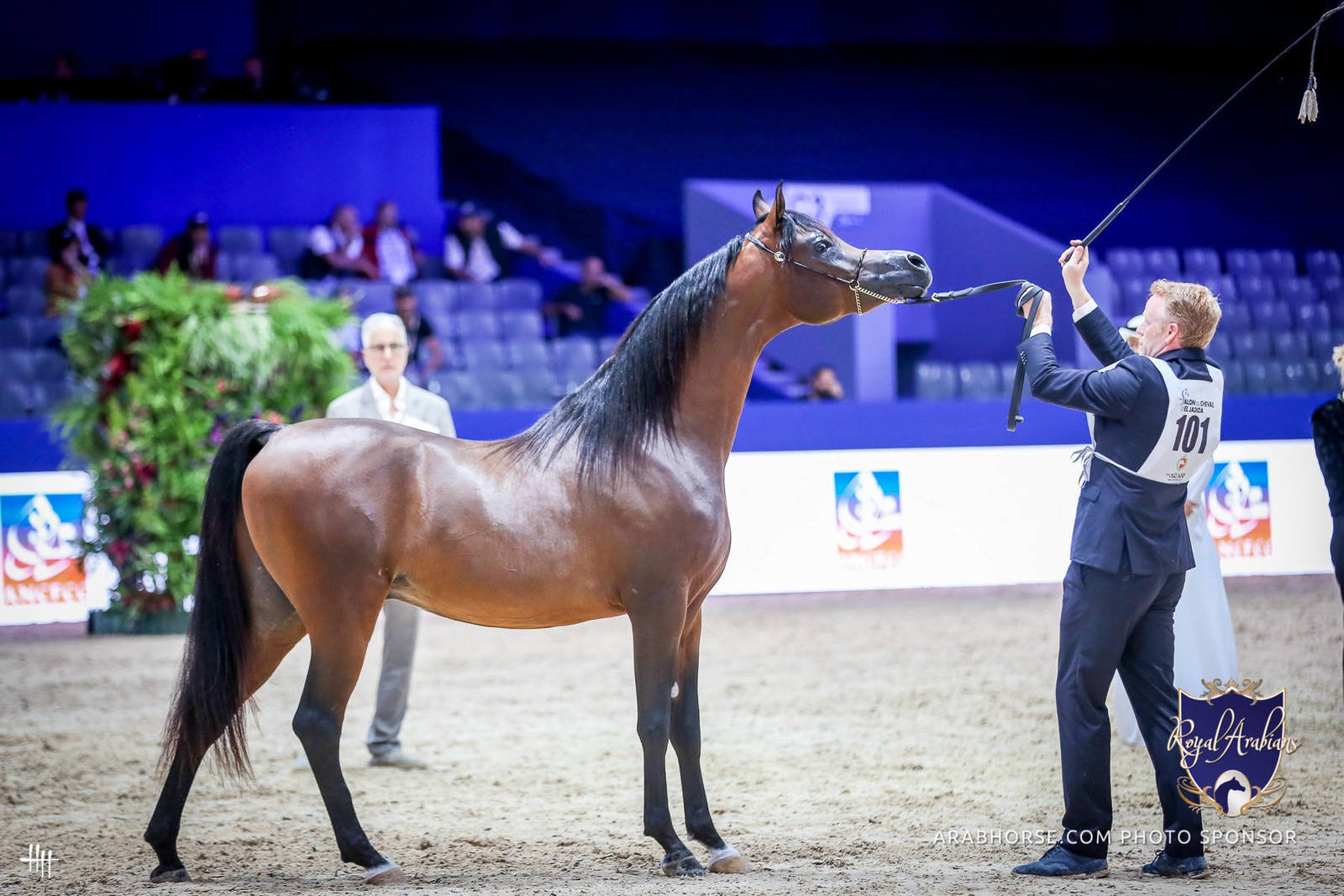 2022 Salon du Cheval d'El Jadida Horse Show in Morocco
