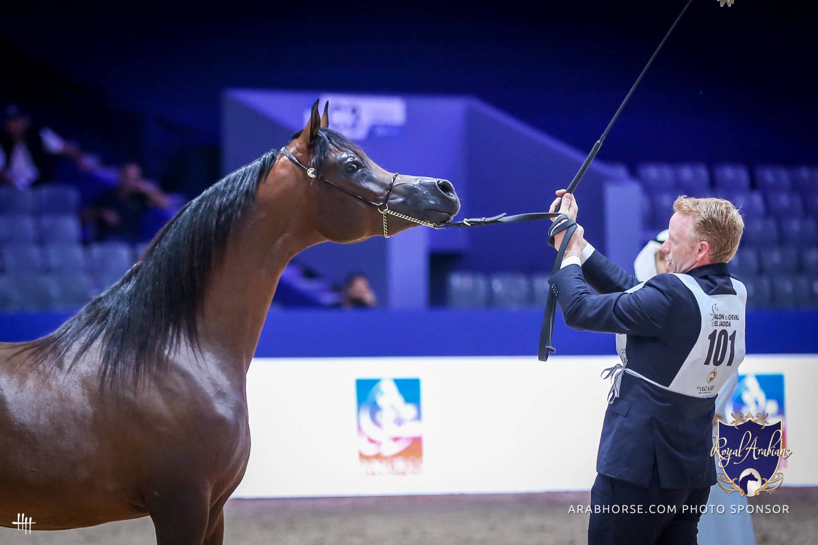2022 Salon du Cheval d'El Jadida Horse Show in Morocco