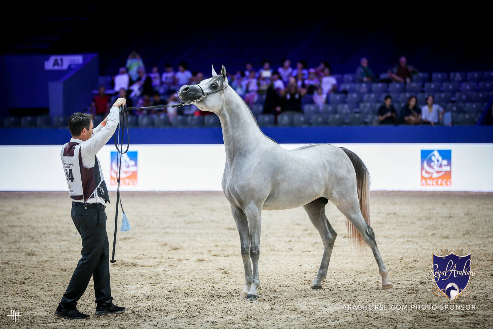 2022 Salon du Cheval d'El Jadida Horse Show in Morocco