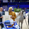2022 Salon du Cheval d'El Jadida Horse Show in Morocco