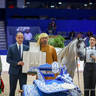 2022 Salon du Cheval d'El Jadida Horse Show in Morocco
