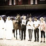 2022 Salon du Cheval d'El Jadida Horse Show in Morocco