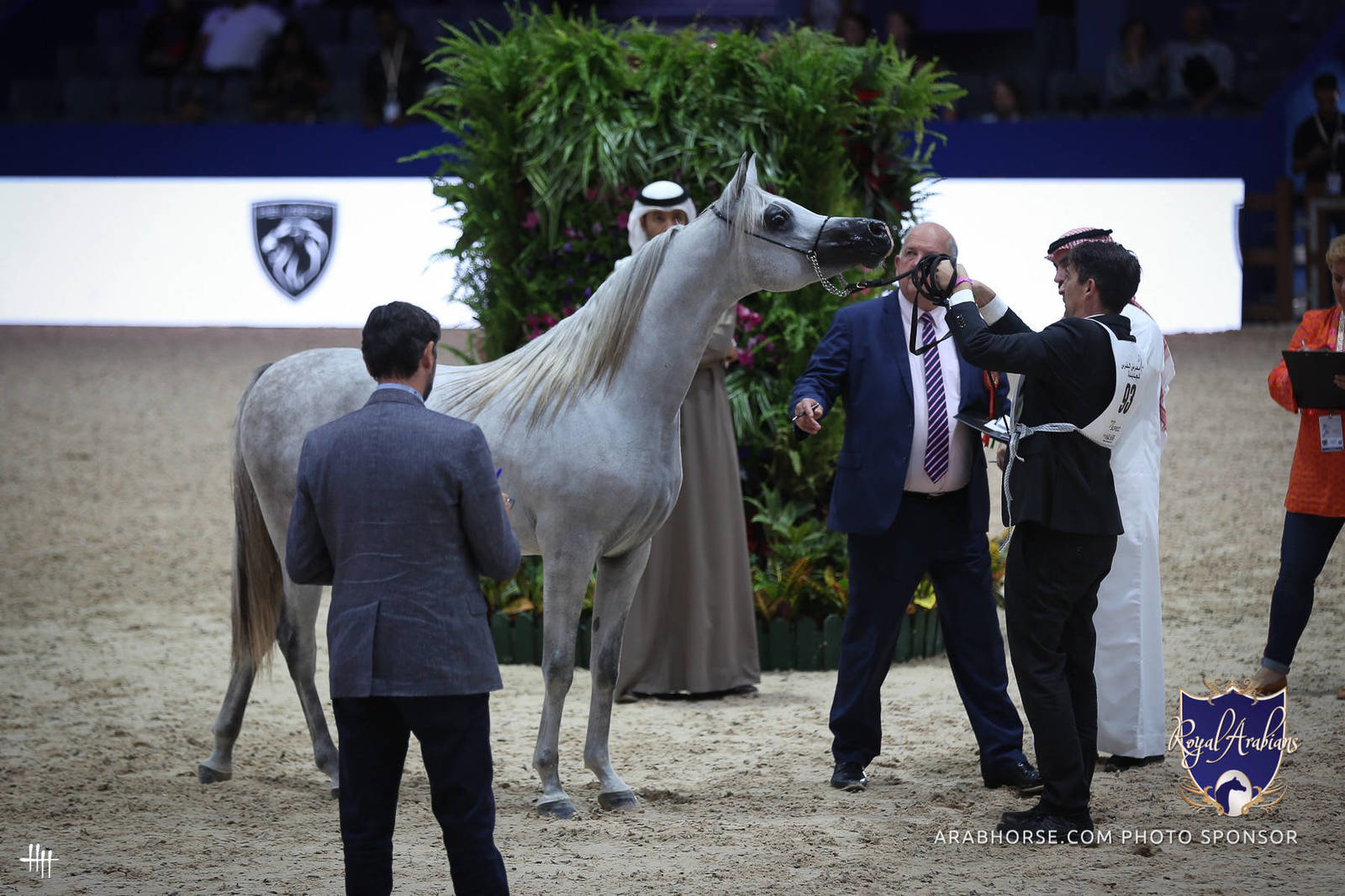 2022 Salon du Cheval d'El Jadida Horse Show in Morocco