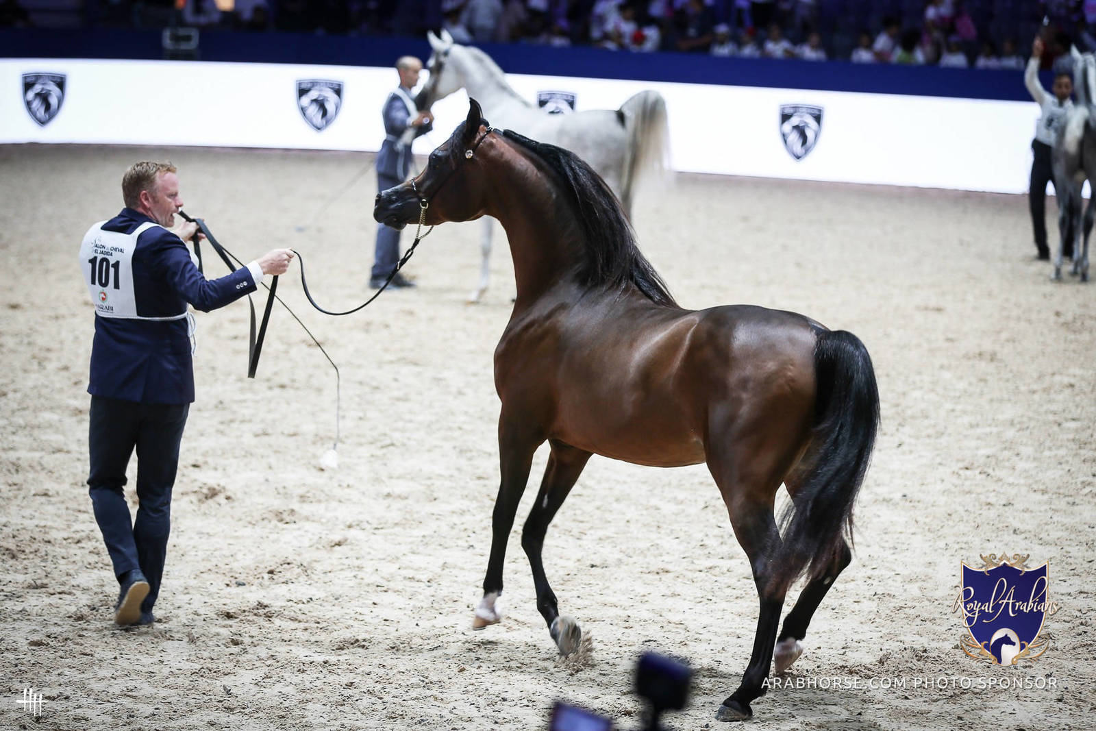2022 Salon du Cheval d'El Jadida Horse Show in Morocco