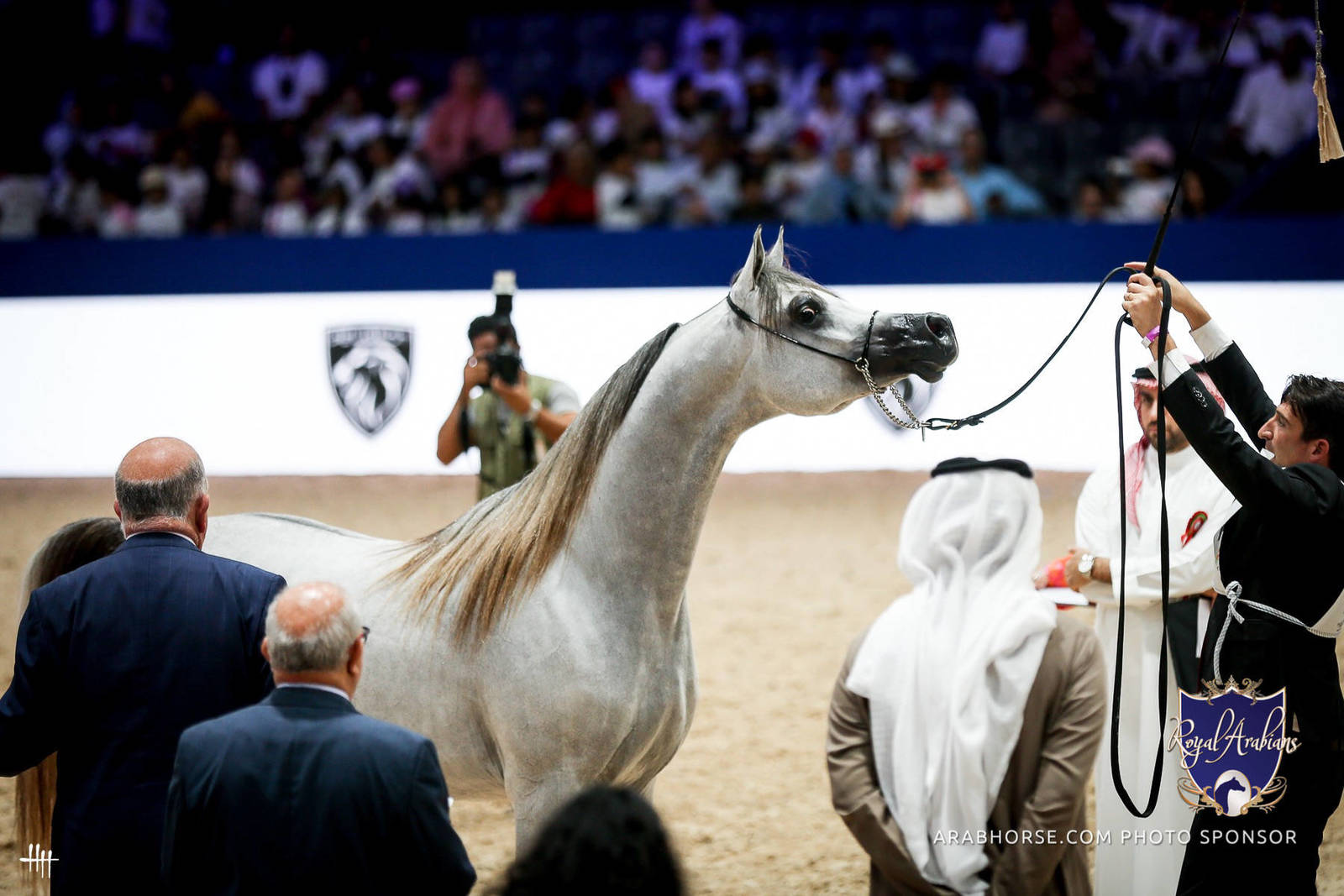 2022 Salon du Cheval d'El Jadida Horse Show in Morocco