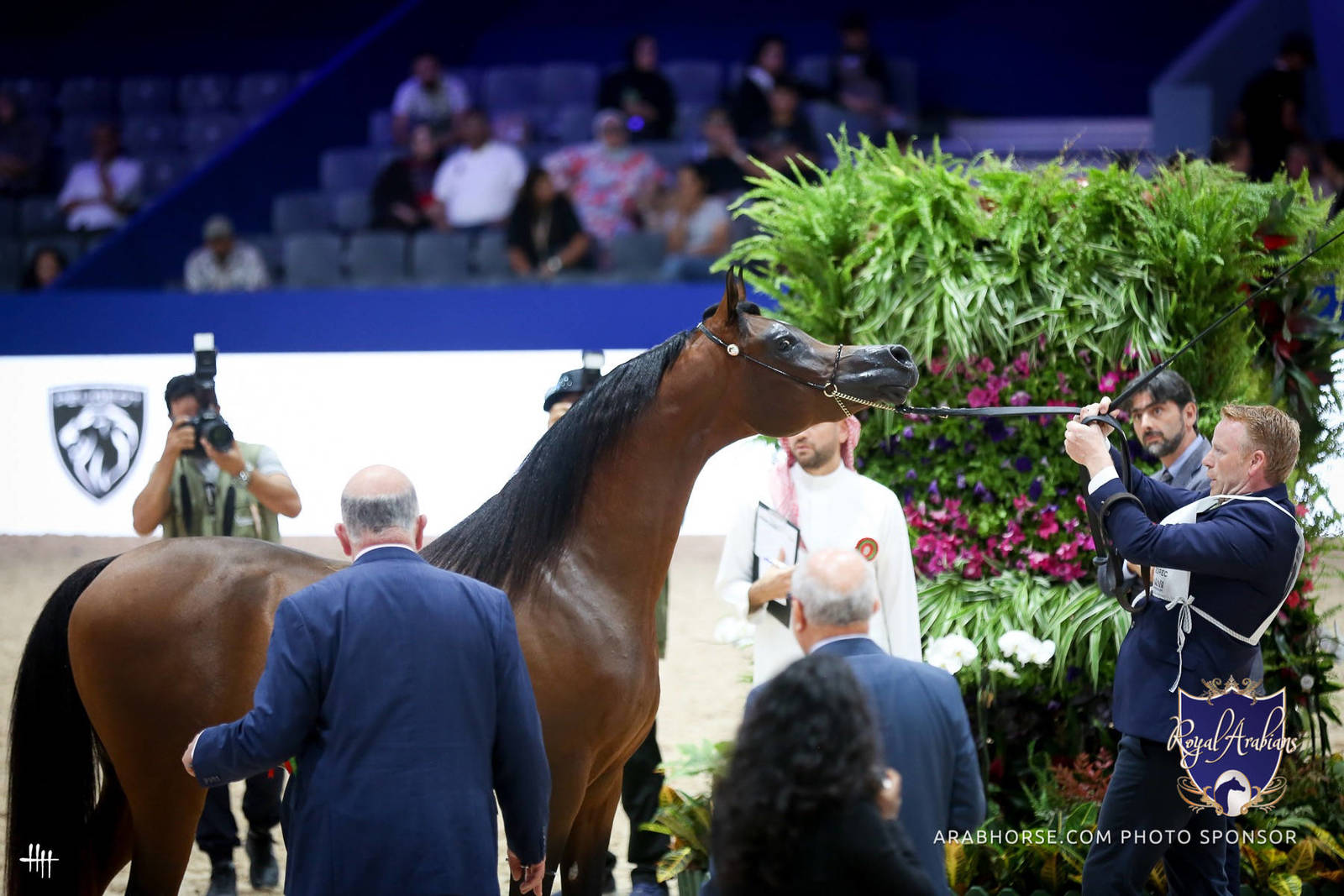 2022 Salon du Cheval d'El Jadida Horse Show in Morocco
