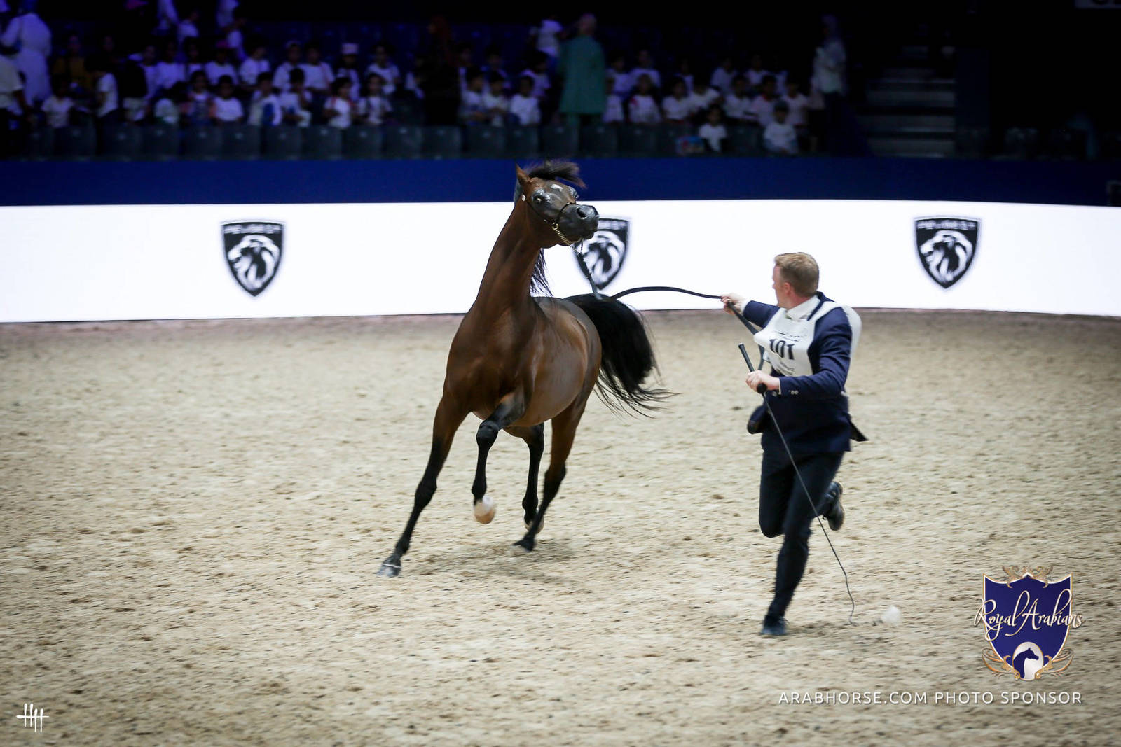 2022 Salon du Cheval d'El Jadida Horse Show in Morocco