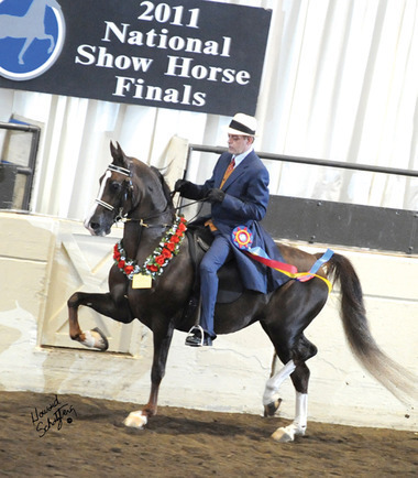 Esser Valley Arabians