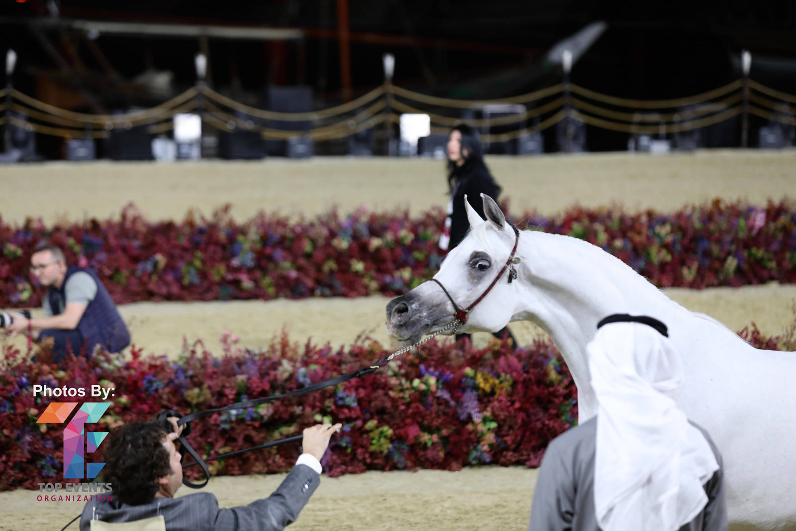 KIAHF 2023: PHOTOS FROM THE PENINSULA SHOW