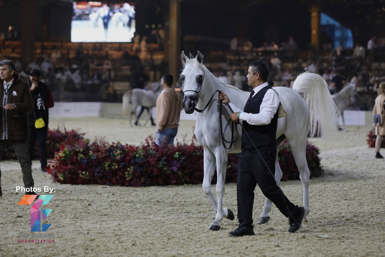 KIAHF 2023: PHOTOS FROM THE PENINSULA SHOW