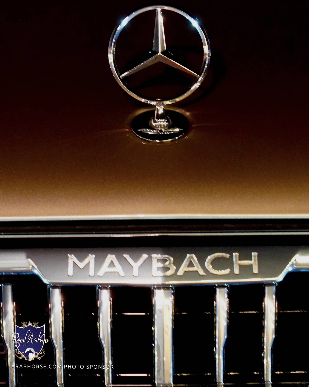 2023 Katara International Arabian Horse Festival: Title Show Day 1