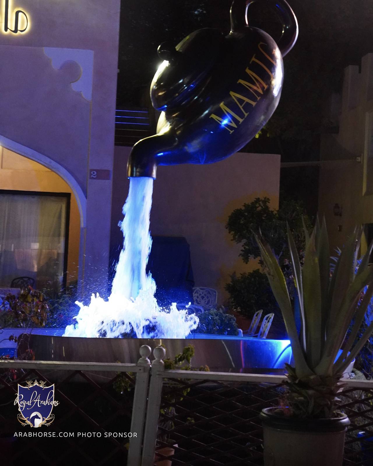 2023 Katara International Arabian Horse Festival: Title Show Day 1