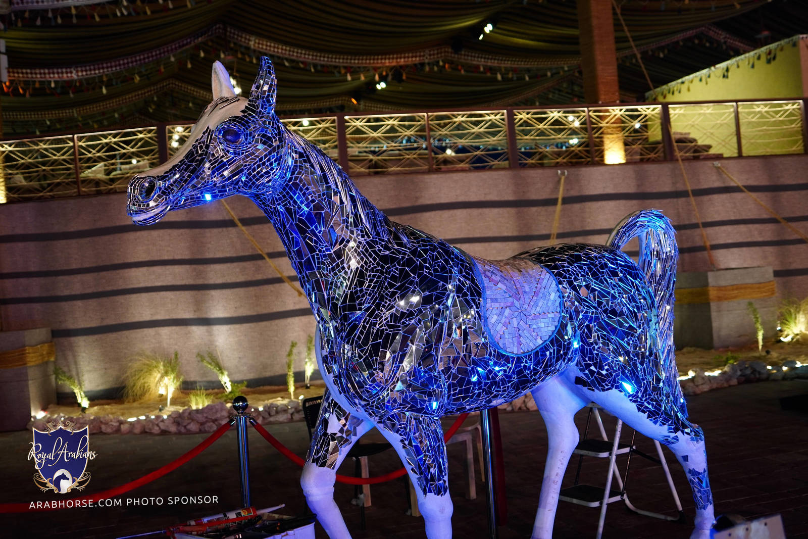 2023 Katara International Arabian Horse Festival: Title Show Day 1