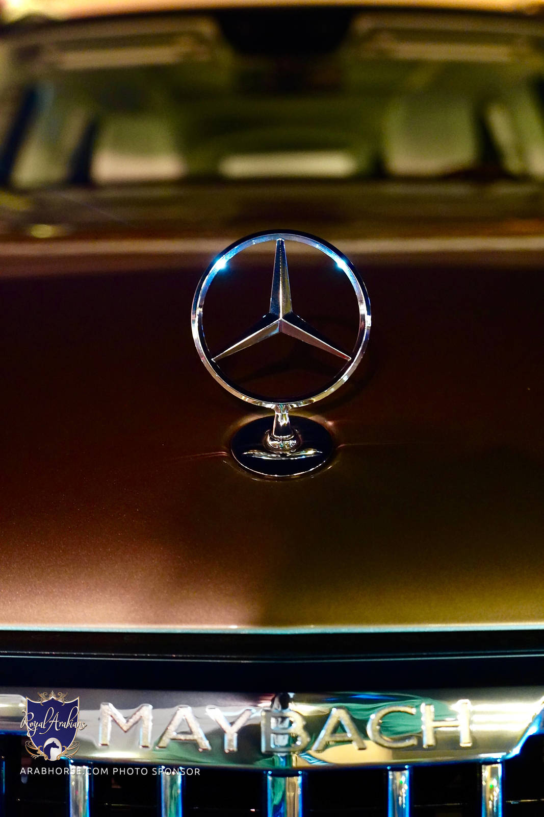 2023 Katara International Arabian Horse Festival: Title Show Day 1