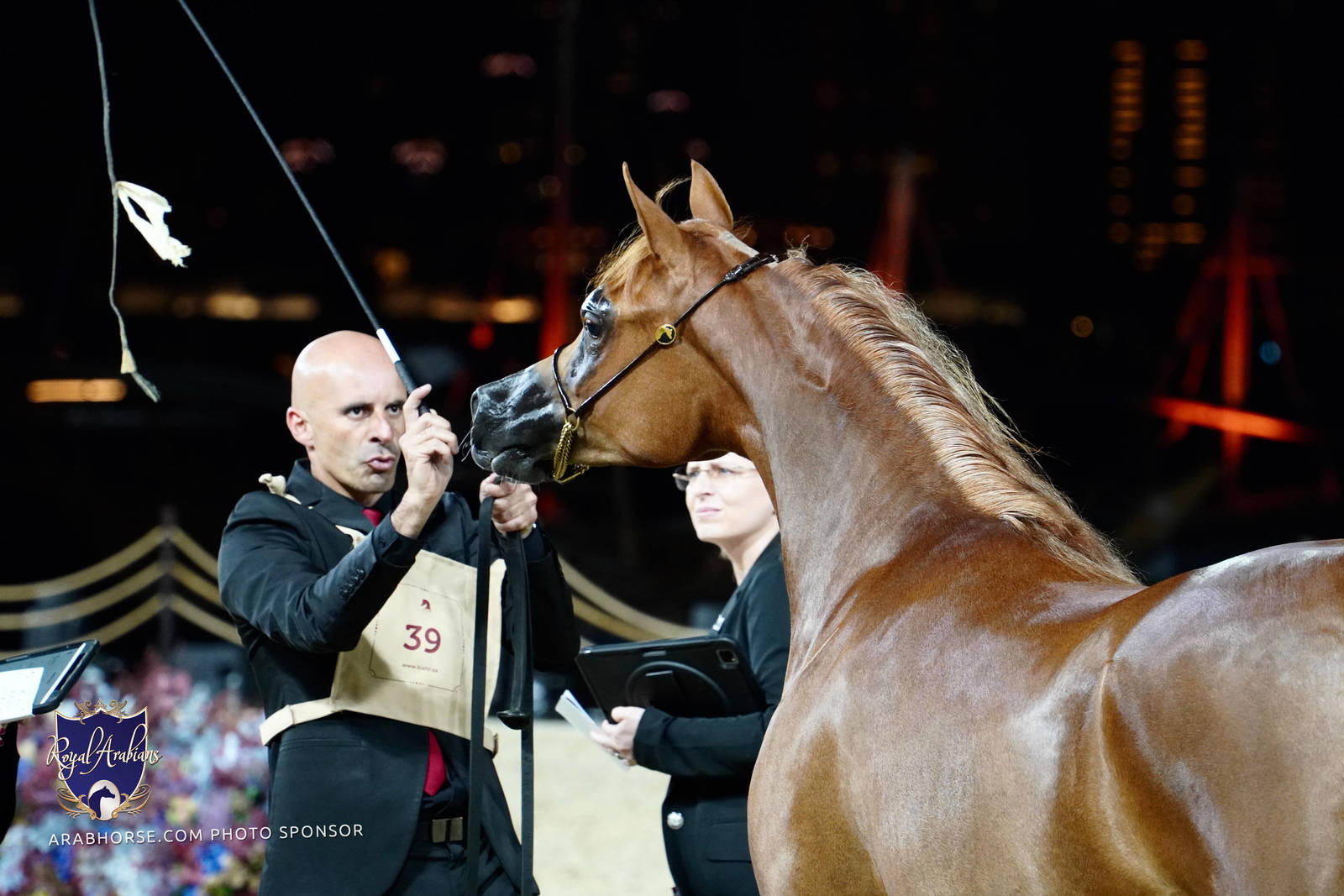 2023 Katara International Arabian Horse Festival: Title Show Day 1