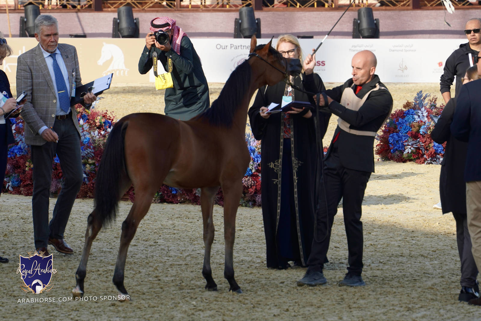 2023 Katara International Arabian Horse Festival: Title Show Day 1