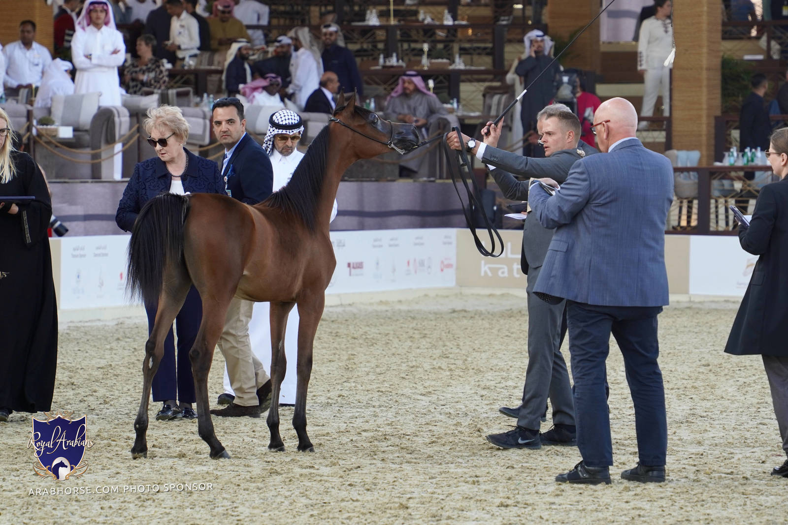 2023 Katara International Arabian Horse Festival: Title Show Day 1