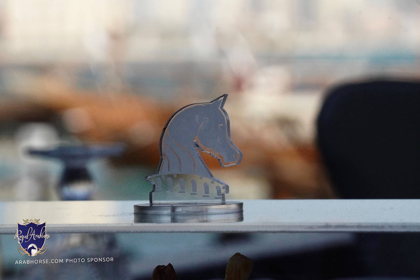 2023 Katara International Arabian Horse Festival: Title Show Day 1