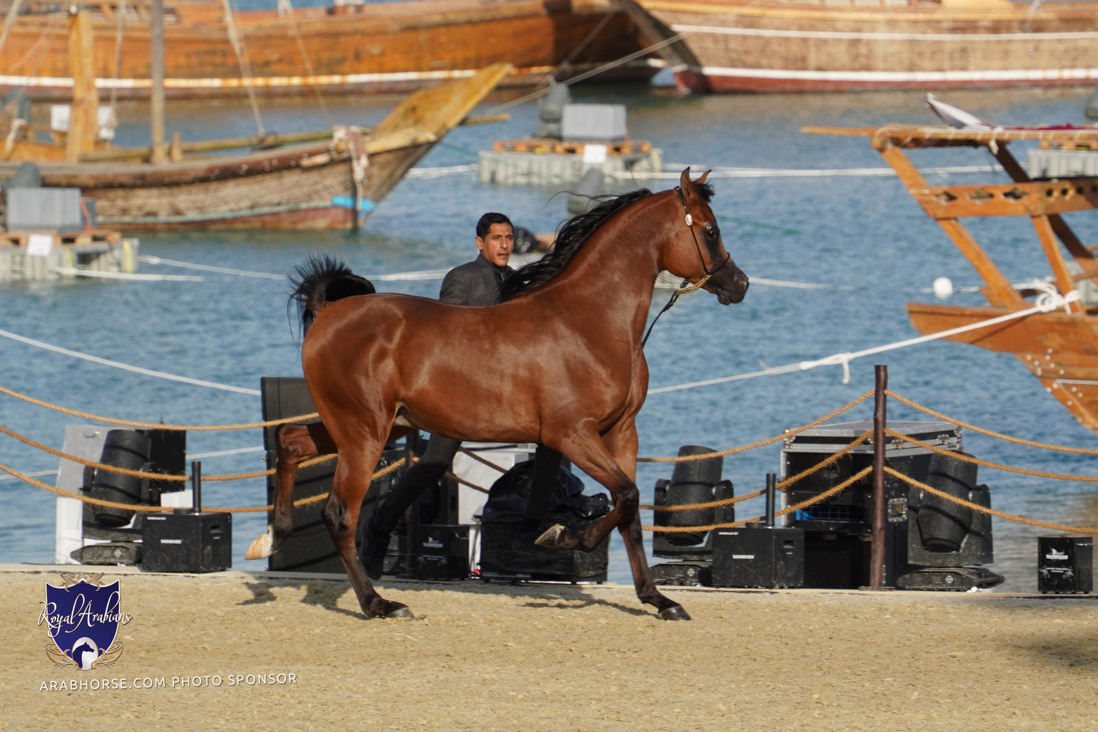 2023 Katara International Arabian Horse Festival: Title Show Day 2