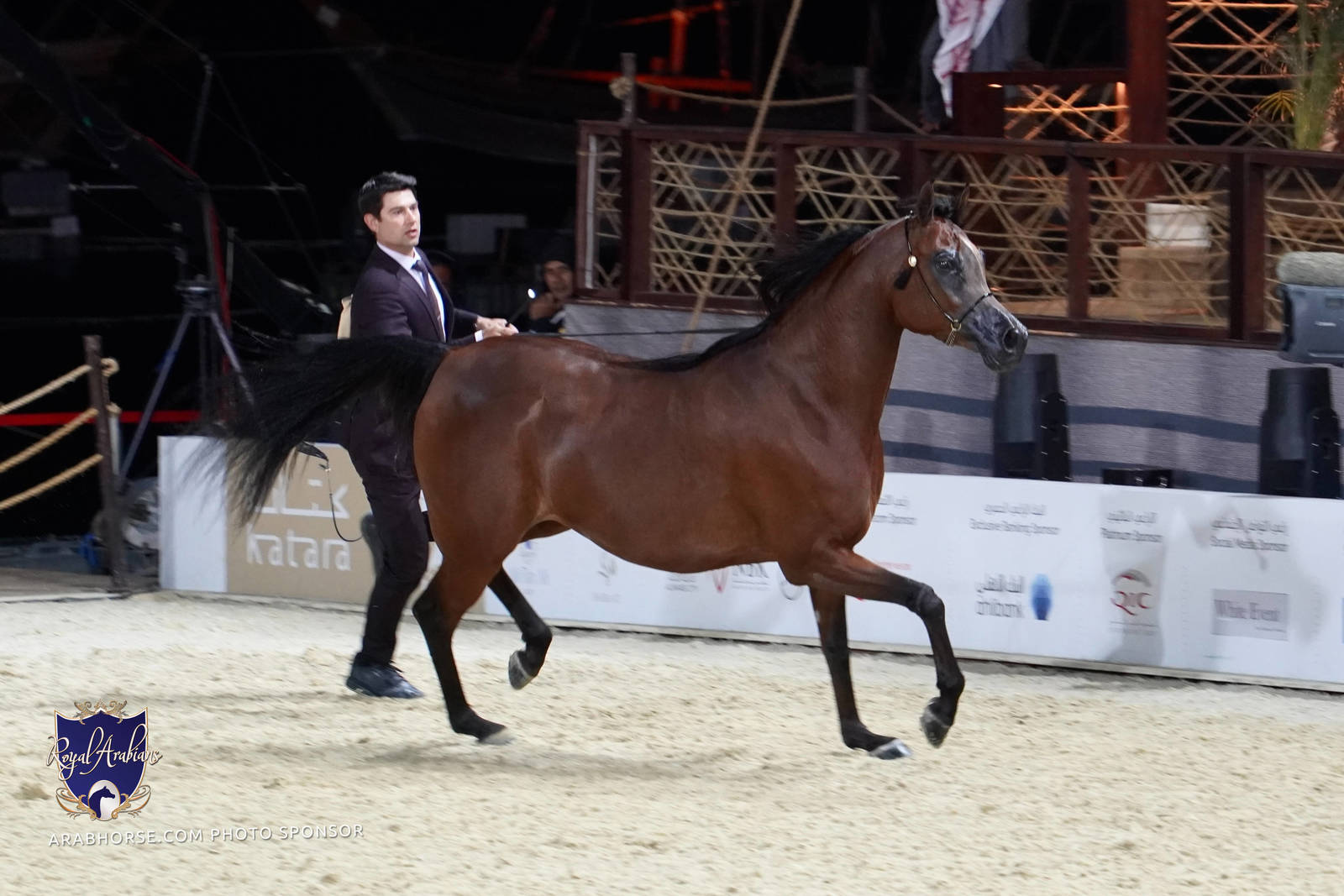 2023 Katara International Arabian Horse Festival: Title Show Day 2